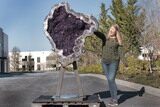 Amethyst Geode with Metal Stand - Spectacular Display! #208916-13